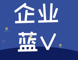 新媒体账户蓝V认证